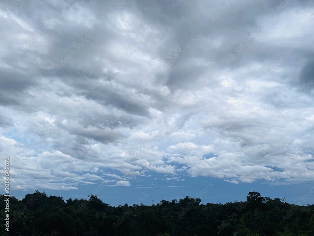 Obraz premium Dramatic storm clouds gathering over a dark forest landscape during overcast weather