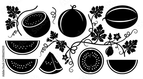 Fotografie Watermelon silhouettes vector set featuring fresh whole fruit slices seeds vine