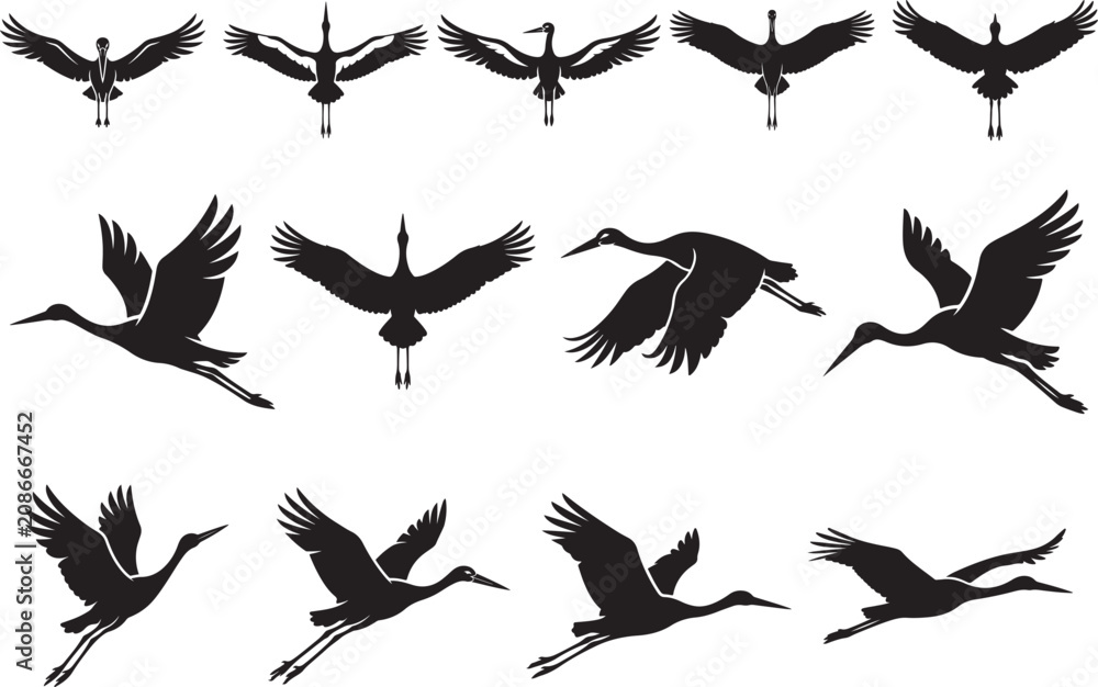 Fototapeta premium Collection of various crane silhouettes in different flying positions
