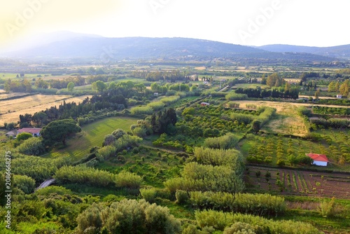 Sardinia agricultural landscape in Posada. Rural landscape in Province of Nuoro. Orchards of Sardinia, Italy.