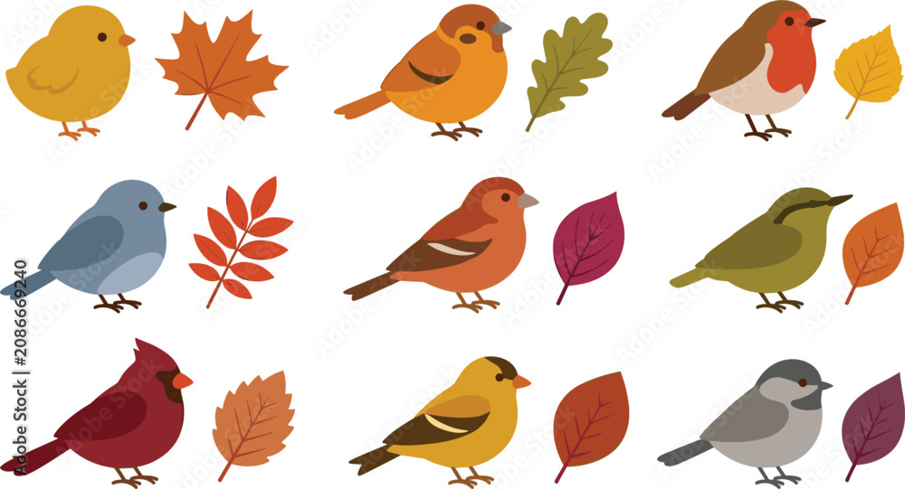 Fototapeta premium Cute Autumn Birds and Fall Leaves Vector Icon Set with Robin, Cardinal, Sparrow, and Colorful Foliage for Woodland Seasonal Craft and Greeting Designs