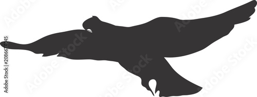 Tableau sur toile Gliding Eagle Silhouette with Long Wings Isolated Bird Vector Illustration