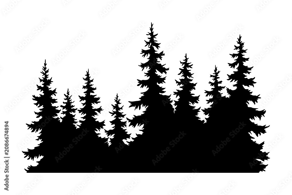 Obraz premium Fir trees silhouette. Coniferous spruce horizontal background pattern, black evergreen woods vector illustration. Beautiful hand drawn panorama of coniferous forest