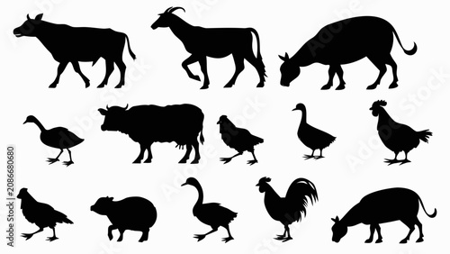 Tableau sur toile Black Silhouette Collection of Farm Animals and Birds in Minimalist Vector Style