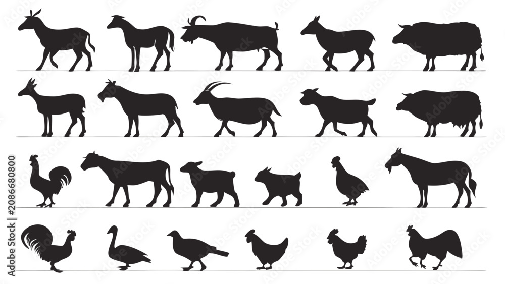 Fototapeta premium Silhouette Collection of Farm Animals and Poultry in Minimalist Black Vector Style
