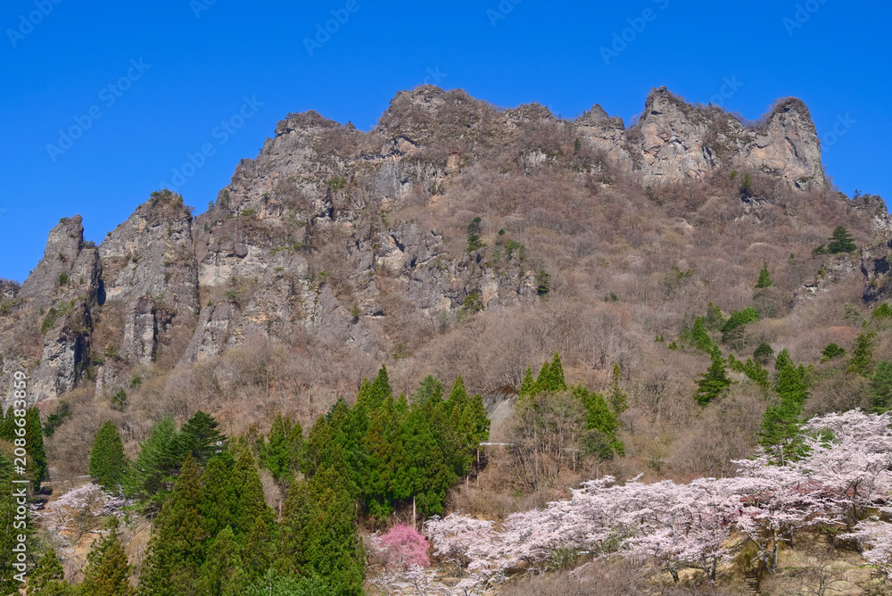 Fototapeta premium 群馬県下仁田町の妙義さくらの里から望む妙義山