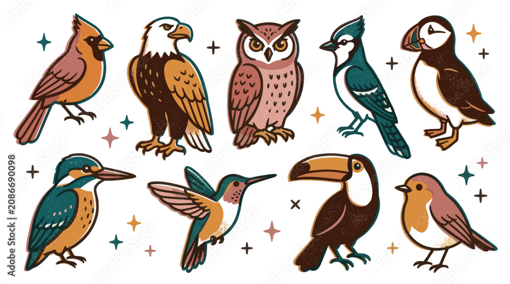 Obraz premium Various colorful cartoon birds, including an owl, eagle, and toucan, are illustrated in a charming, whimsical style on a clean white background