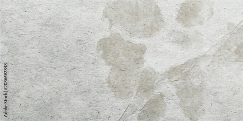 Foto A close-up shot captures the delicate texture and organic pattern of a dried leaf with visible veins and subtle tonal variations, creating an abstract natural design