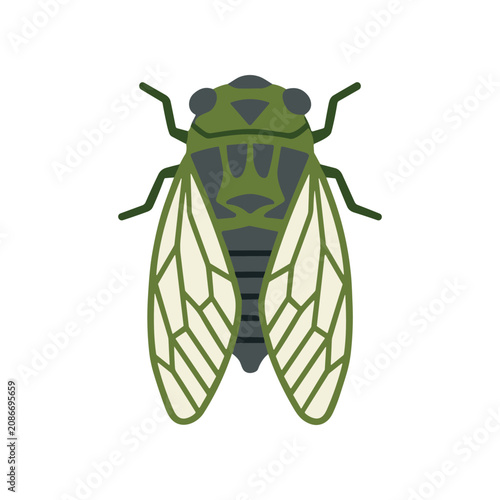 Konstfotografi Green Cicada Insect Illustration Closeup.