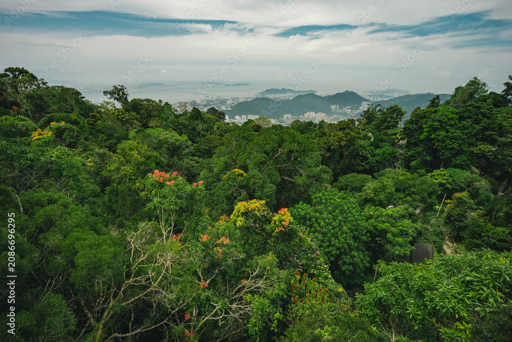 Obraz premium Earth Day concept on sustainability environmental renewable forest mountain bay skyline tree foliage landscape nature tropical coast, lush tropical forest with mountain bay skyline under cloudy sky