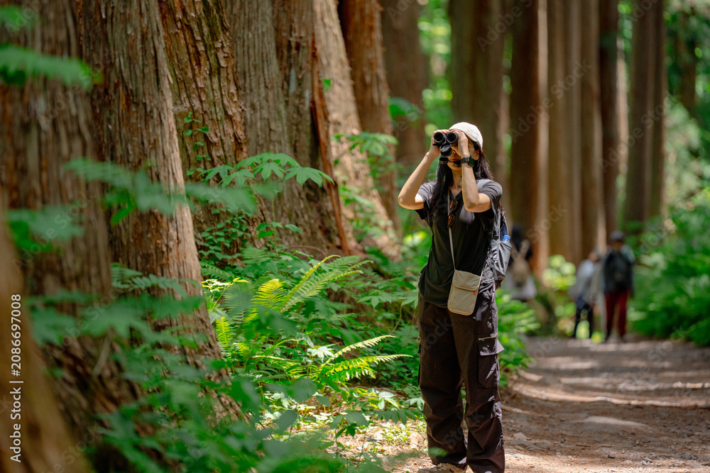 Fototapeta premium Earth Day concept on sustainability environmental renewable forest hiker binocular trail tree fern nature woman hiking woodland, hiker using binocular forest trail among tall tree trunk and green