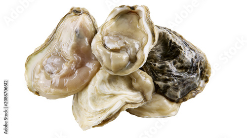 Canvas Print Fresh raw oysters with shells open, revealing plump meat