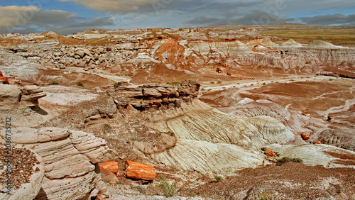 Petrified forest  national park , Arizona, USA	