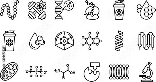 Bild auf Leinwand Biochemistry and Protein Science Line Icon Set Featuring Molecular Structure Ami