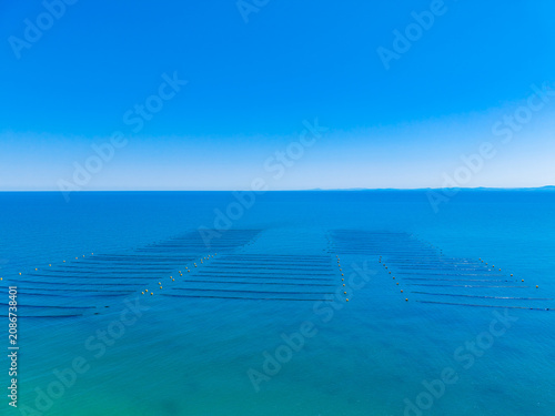 Mussel farm located in the ocean with long lines of buoys marking the areas for harvesting mussels