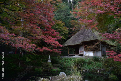 広島　日本庭園　紅葉　秋　吉水園