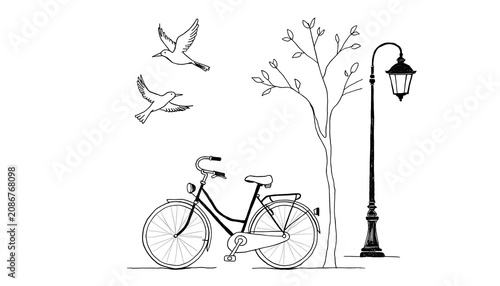 Bicycle with birds tree and street lamp line art drawing illustration