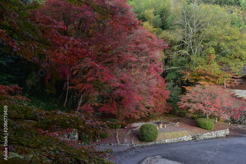 広島　日本庭園　紅葉　秋　吉水園