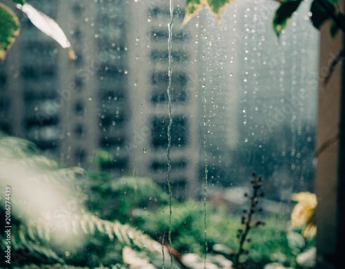 monsoon background