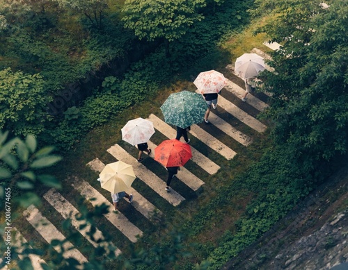 monsoon background