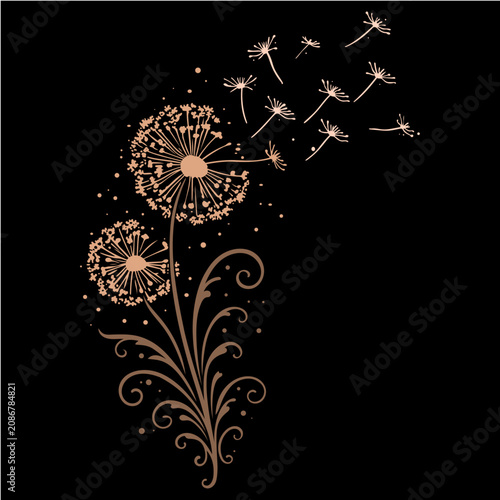 Ornamentaler Löwenzahn mit fliegenden Pusteblumen als florale Vektor Illustration