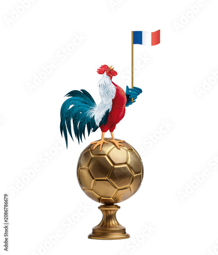 coq, France, champion, ballon d'or, bleu blanc rouge, fière, oiseau, animal, ferme, volaille, poule, blanc, coquelet, bec, empennage, domestique, poussin, dessin animé, oeuf, agriculture, debout