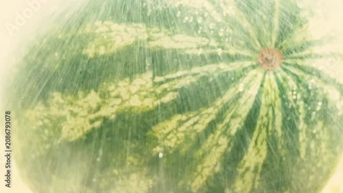 watermelon