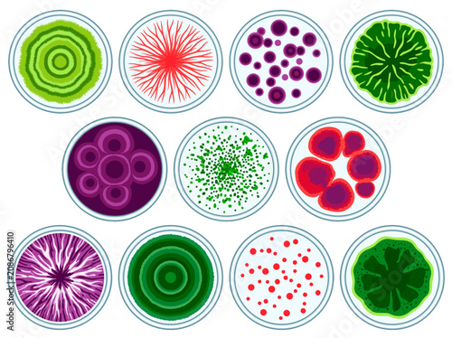 vector Collection of petri dishes showcasing diverse colorful microbial colonies and growth patterns in a scientific laboratory setting