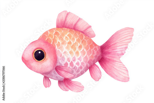 Pink goldfish watercolor illustration on white background