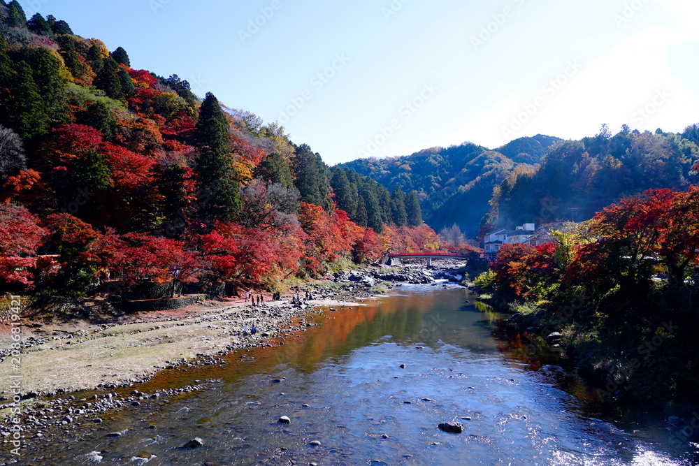 紅葉様 Photography Poster 紅葉で真っ赤に染まった山々が連なる谷間を