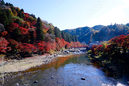 Obraz na plátně 紅葉で真っ赤に染まった山々が連なる谷間を、穏やかな川が流れる美しい秋の風景。川には岩が点在し、河原には人々が散策している。遠くには赤い橋と日本の伝統的な建物が見