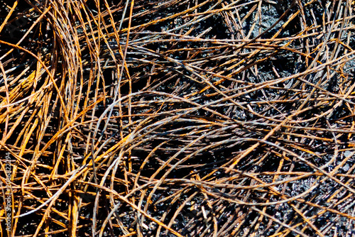 Quadro su tela Metal wires from burnt car wheels as a background
