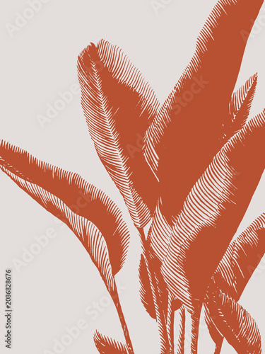 Hand drawn bird of paradise foliage background featuring engraved tropical leaves with flowing linework and generous copy space. Botanical composition for wallpaper, packaging and editorial layouts.
