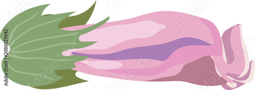 Tableau sur toile Pink cotton withered blossom isolated