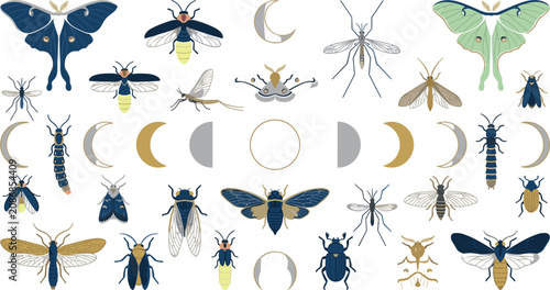 Fotografía Mystical nocturnal insects celestial moon phases vector element set with moths b