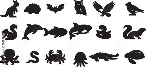 Photography set of animals