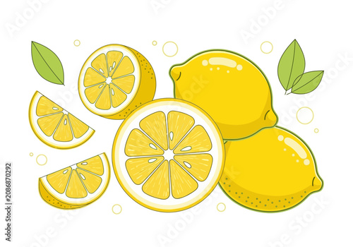 Tableau sur toile Fresh Lemons and Lemon Slices Illustration.