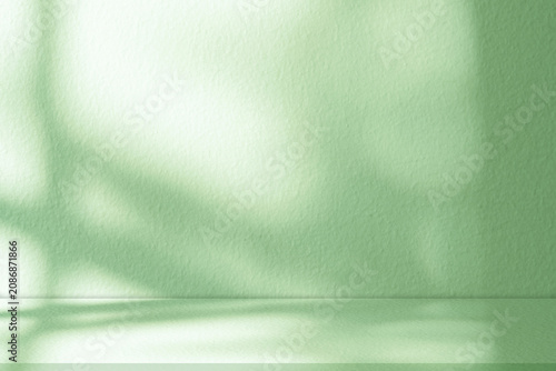 Green Background, Studio Backdrop with Soft Light on Pale Green Podium, Room Wall Interior with Shadow Texture on Floorl, Minimal Nature Mint Green background for Autumn, Winter, Spring, Summer