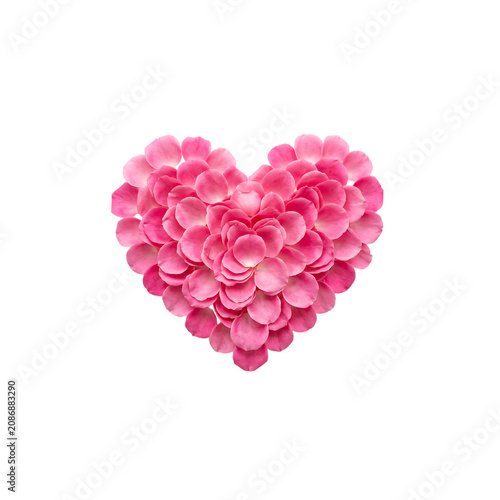 Heart shape made of delicate pink rose petals isolated on transparent background.
