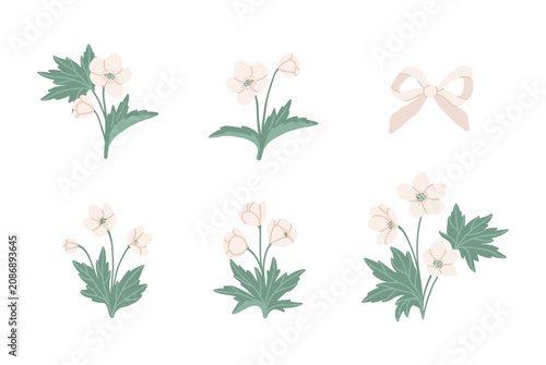 Refined collection of hand drawn anemone flowers. Floral decorative compositions. Vector isolated flat clip art. Gentle delicate set flowers
