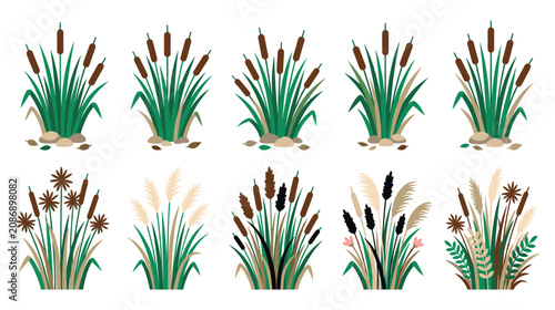Quadro su tela Reed and cattail plant bundles for wetland decoration.