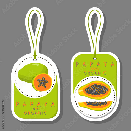 Fruit theme from set juicy delicious papaya of various sizes