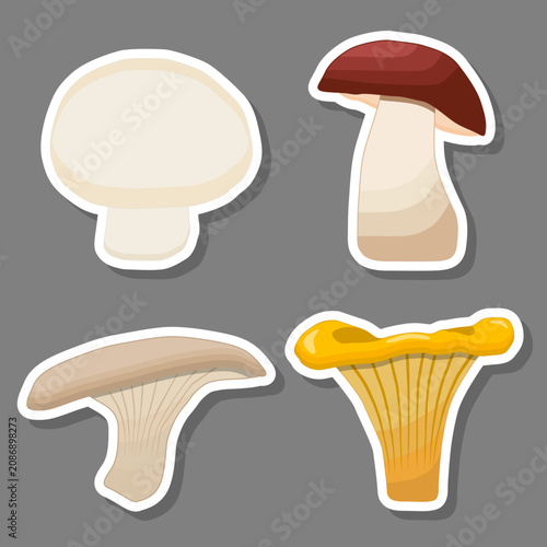 Set sweet juicy tasty natural eco product mushroom plant