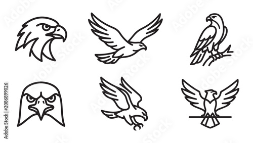 Collection of eagle icons illustrating flight and perching with wildlife predator illustration american majestic powerful creature silhouette minimalist monochrome isolated collection