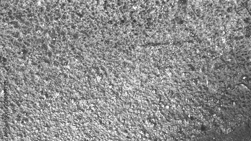 Tableau sur toile Black and white coarse asphalt texture with tiny stones, wet speckles, dark pores, and rugged ground background