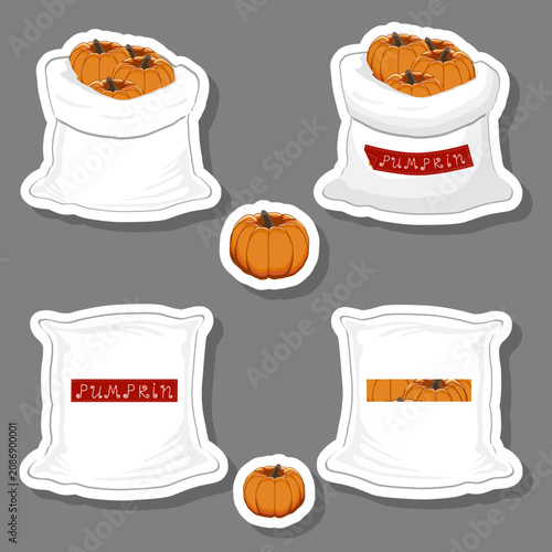 Big vegetable set from tasty pumpkin in large textured sacks