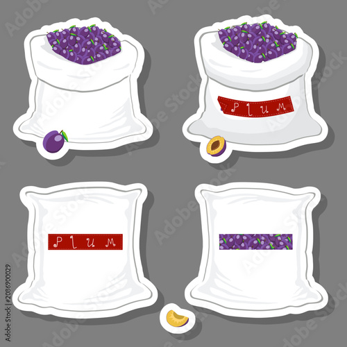 Big fruit set from tasty plum in large textured sacks