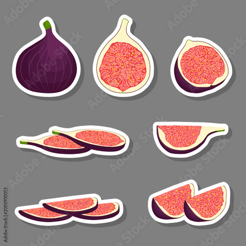 Fruit theme from set juicy delicious fig of various sizes