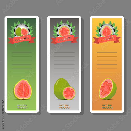 Fruit theme from set juicy delicious guava of various sizes