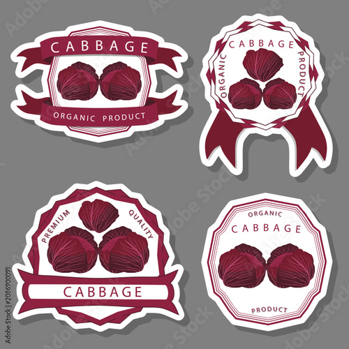 Set tasty natural eco product vegetable cabbage